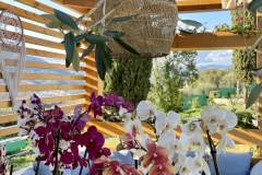 Terrasse_piscine_depuis_jardin