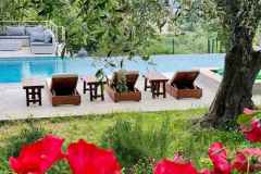 Vue_piscine_depuis_jardin