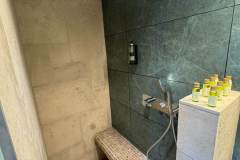Douche_chambre_double_deluxe_douche