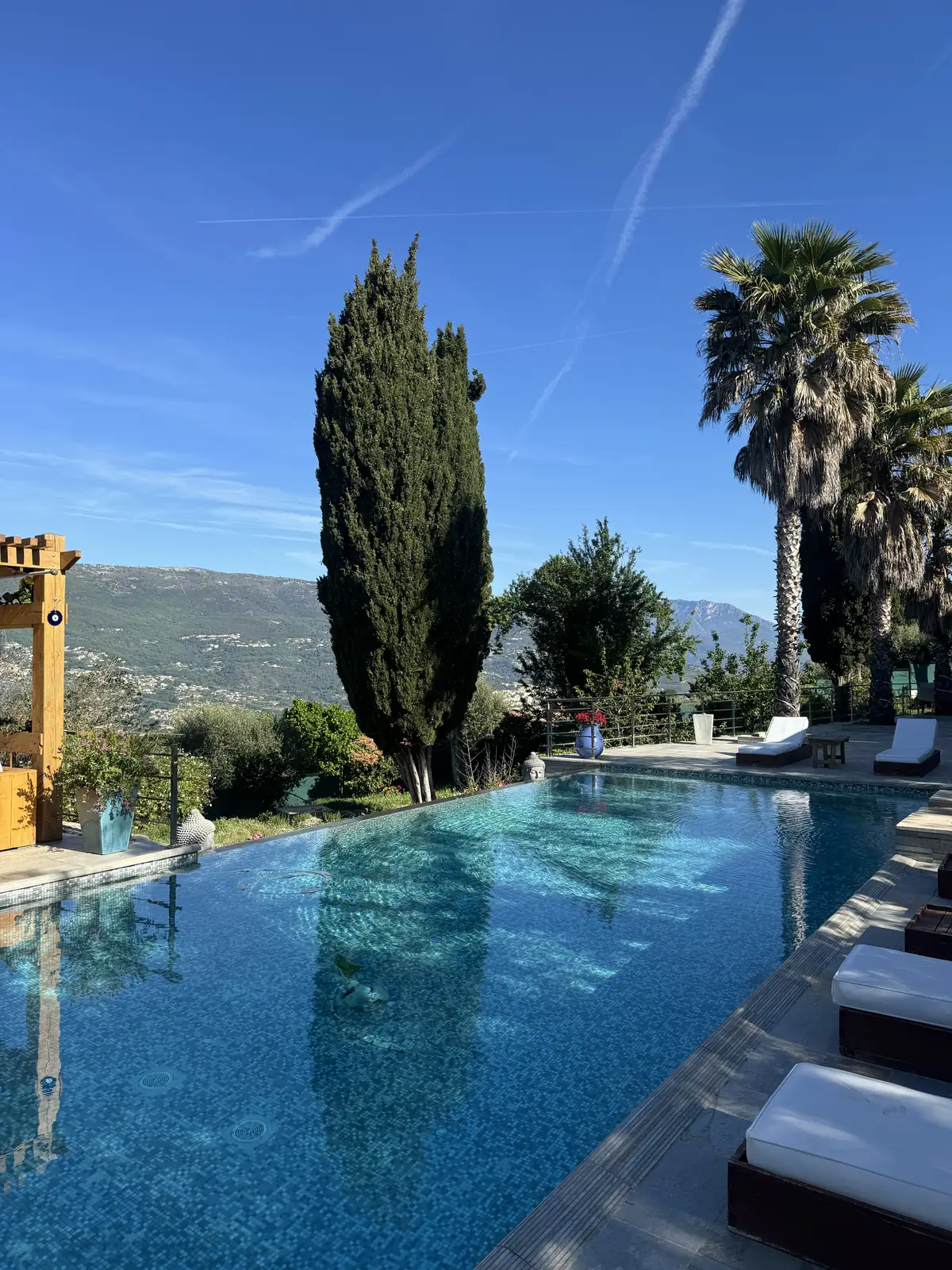 Piscine à débordement bordée d'un cyprès et de palmiers, avec vue sur les collines de Nice