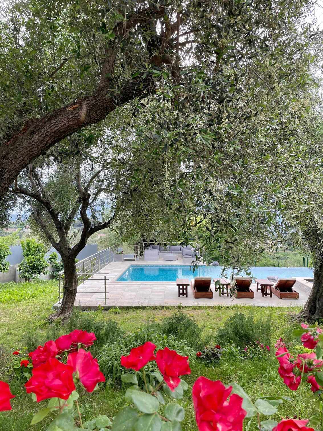 Vue piscine depuis jardin – maison d'hôtes L'Escondida à Nice