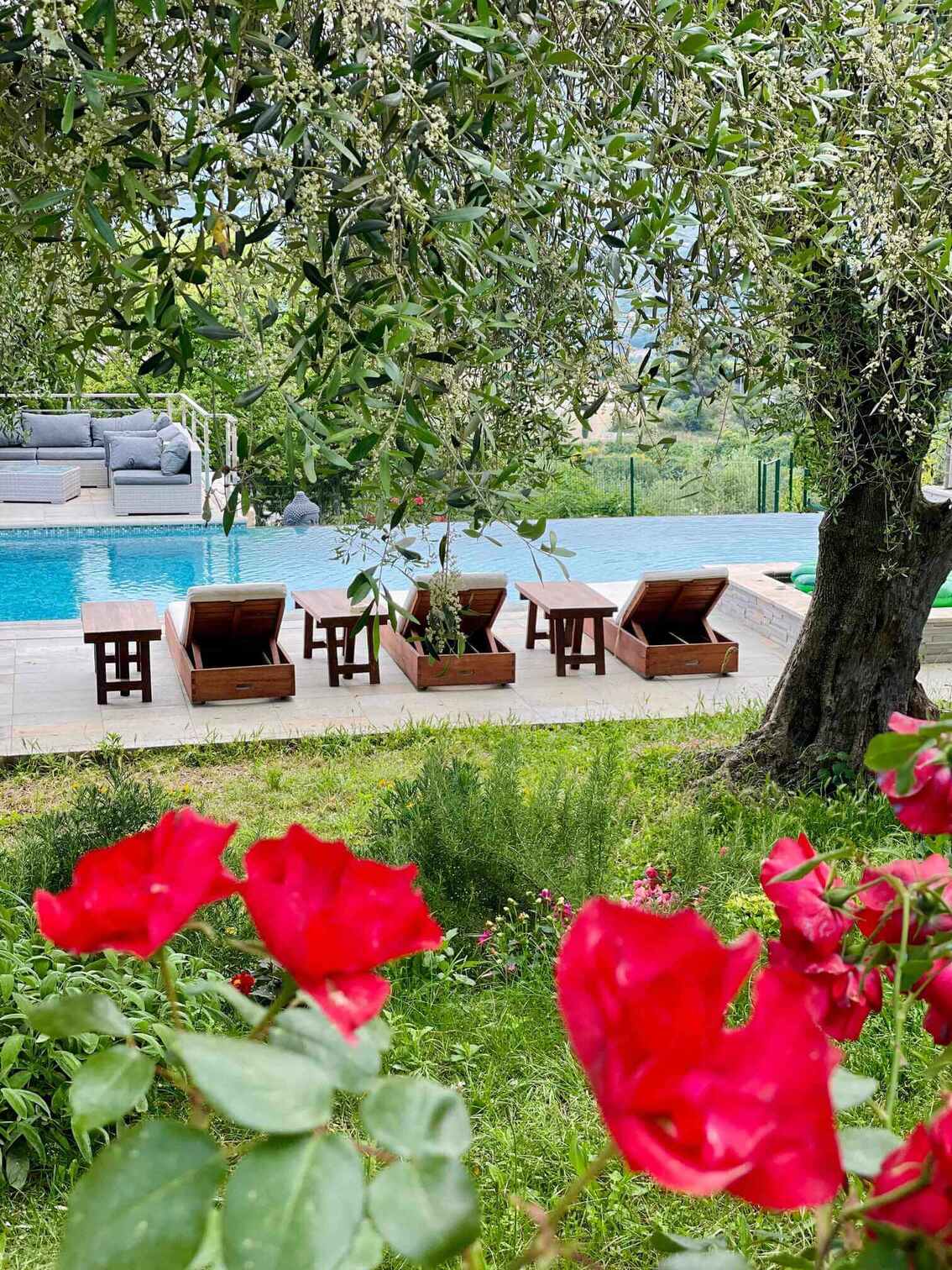 Vue piscine depuis jardin – maison d'hôtes L'Escondida à Nice